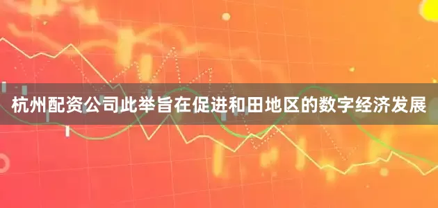 杭州配资公司此举旨在促进和田地区的数字经济发展