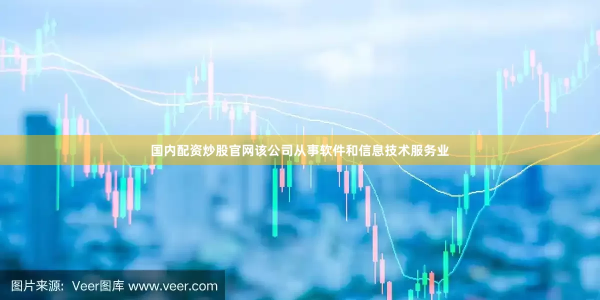 国内配资炒股官网该公司从事软件和信息技术服务业