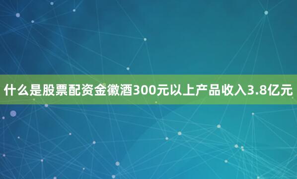 什么是股票配资金徽酒300元以上产品收入3.8亿元