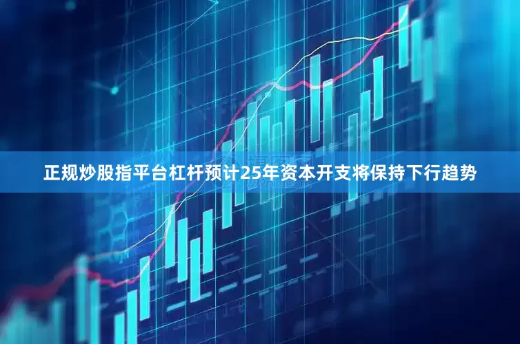 正规炒股指平台杠杆预计25年资本开支将保持下行趋势