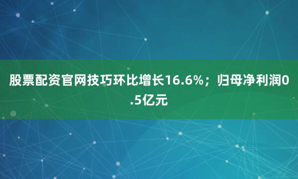 股票配资官网技巧环比增长16.6%；归母净利润0.5亿元