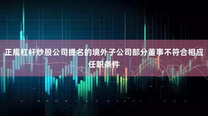 正规杠杆炒股公司提名的境外子公司部分董事不符合相应任职条件